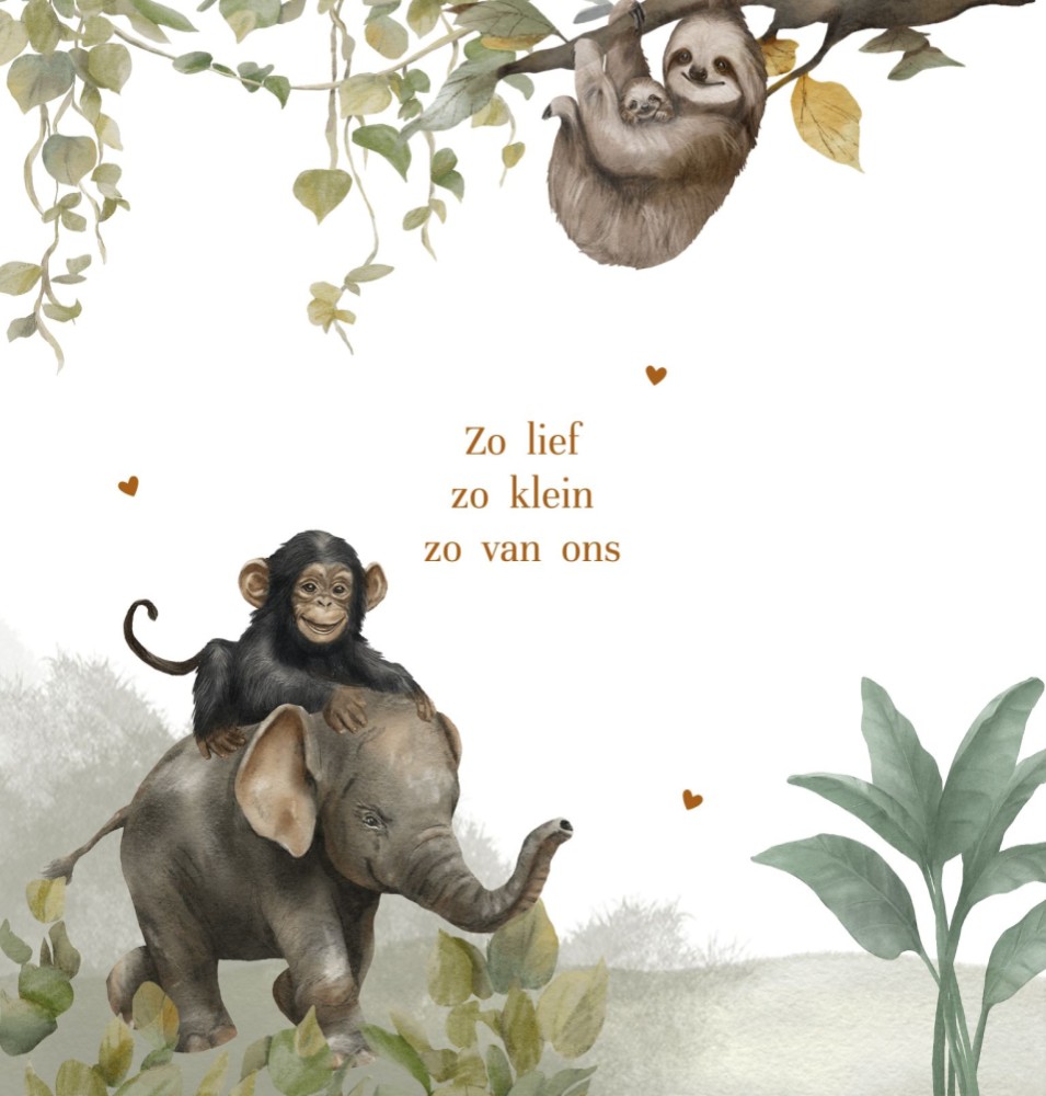 kaart binnenzijde links