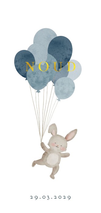 Geboortekaartje jongen konijntje ballonnen Noud