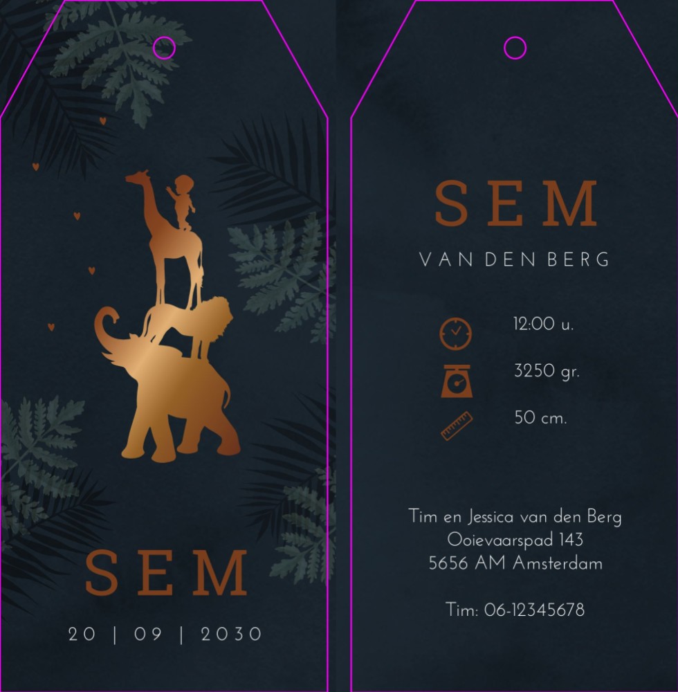 Geboortekaartje jongen silhouette dieren Sem