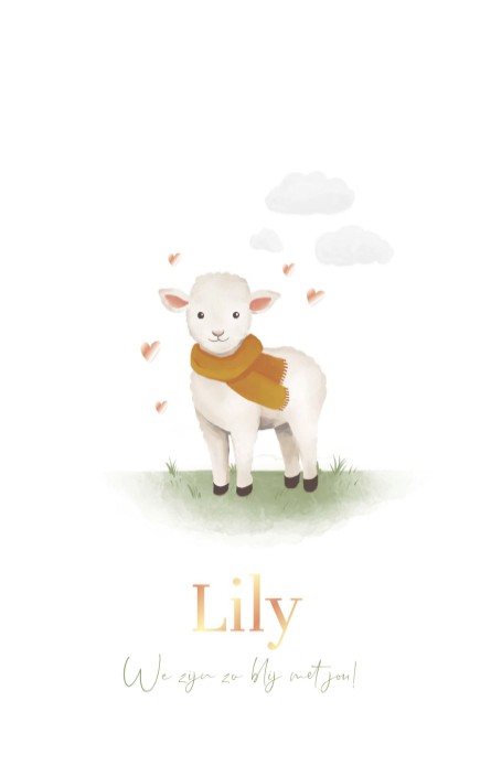 Geboortekaartje meisje lammetje Lily