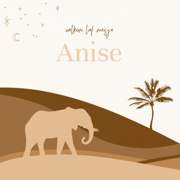 Geboortekaartje meisje olifanten silhouette Anise