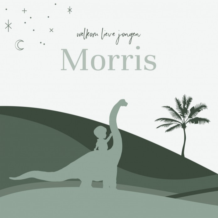Geboortekaartje jongen dino groen silhouette Morris