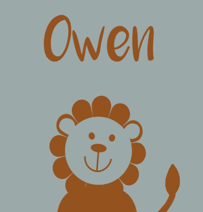 Geboortekaartje dieren leeuw Owen