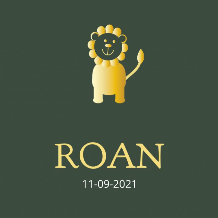 Geboortekaartje leeuw Roan