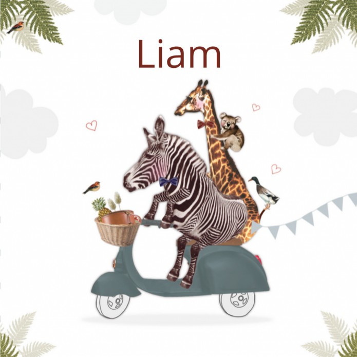 Geboortekaartje Giraf en Zebra op blauwe scooter Liam