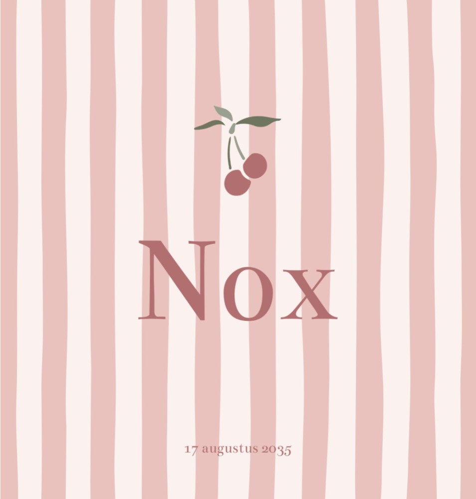 Voorkant van geboortekaartje Nox