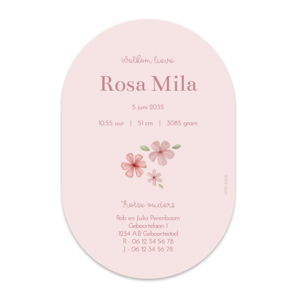 Geboortekaartje meisje Little Dutch ovaal bloemen Rosa
