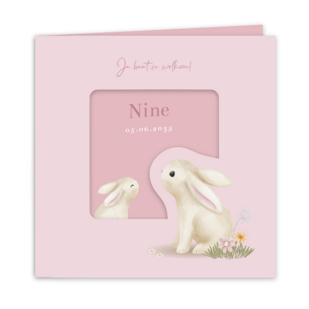 Geboortekaartje meisje Little Dutch doorkijkje konijn Nine