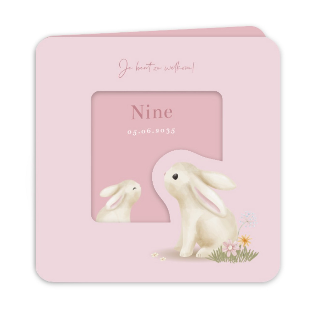 Geboortekaartje meisje Little Dutch doorkijkje konijn Nine
