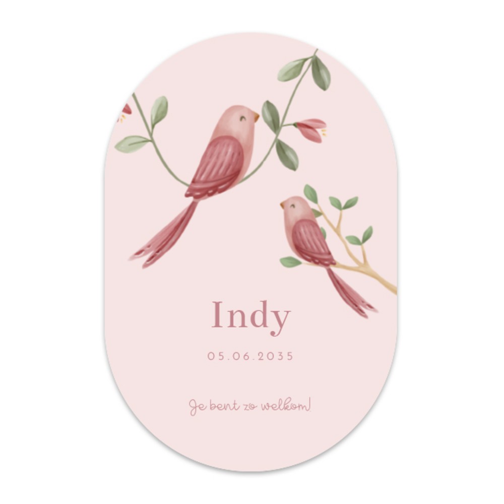 Geboortekaartje meisje Little Dutch ovaalvorm vogel Indy