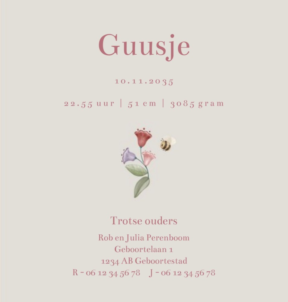 Geboortekaartje meisje Little Dutch hertje in bosthema Guusje