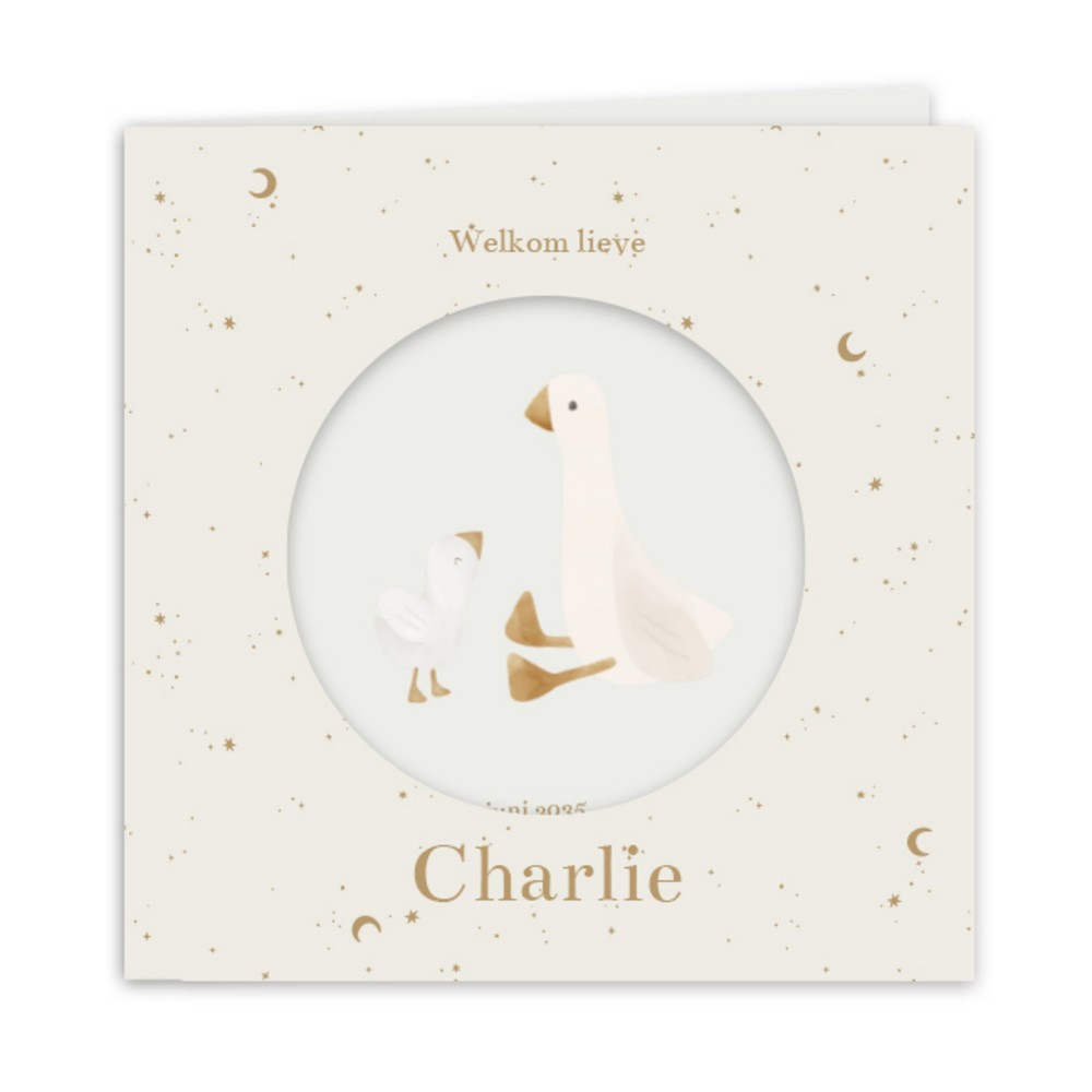 Geboortekaartje neutraal Little Dutch doorkijkje ganzen Charlie