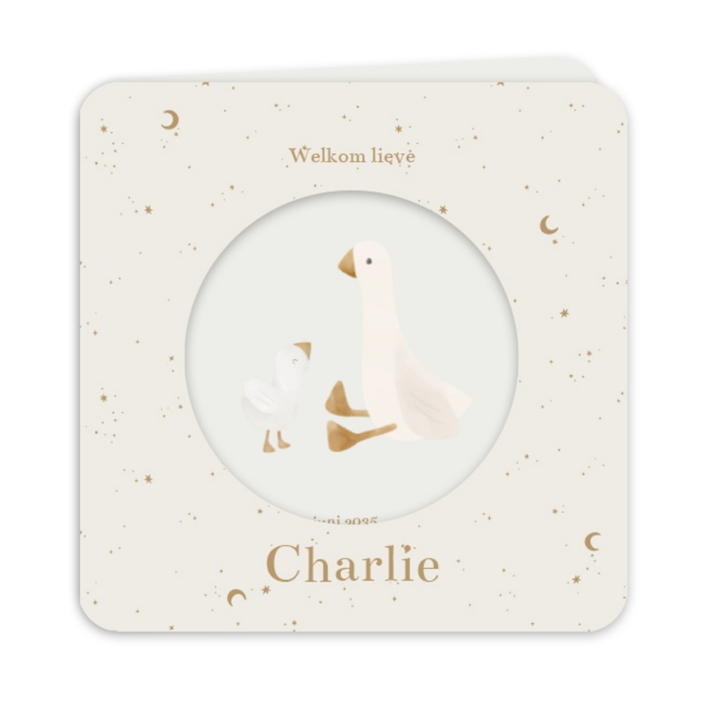 Geboortekaartje neutraal Little Dutch doorkijkje ganzen Charlie