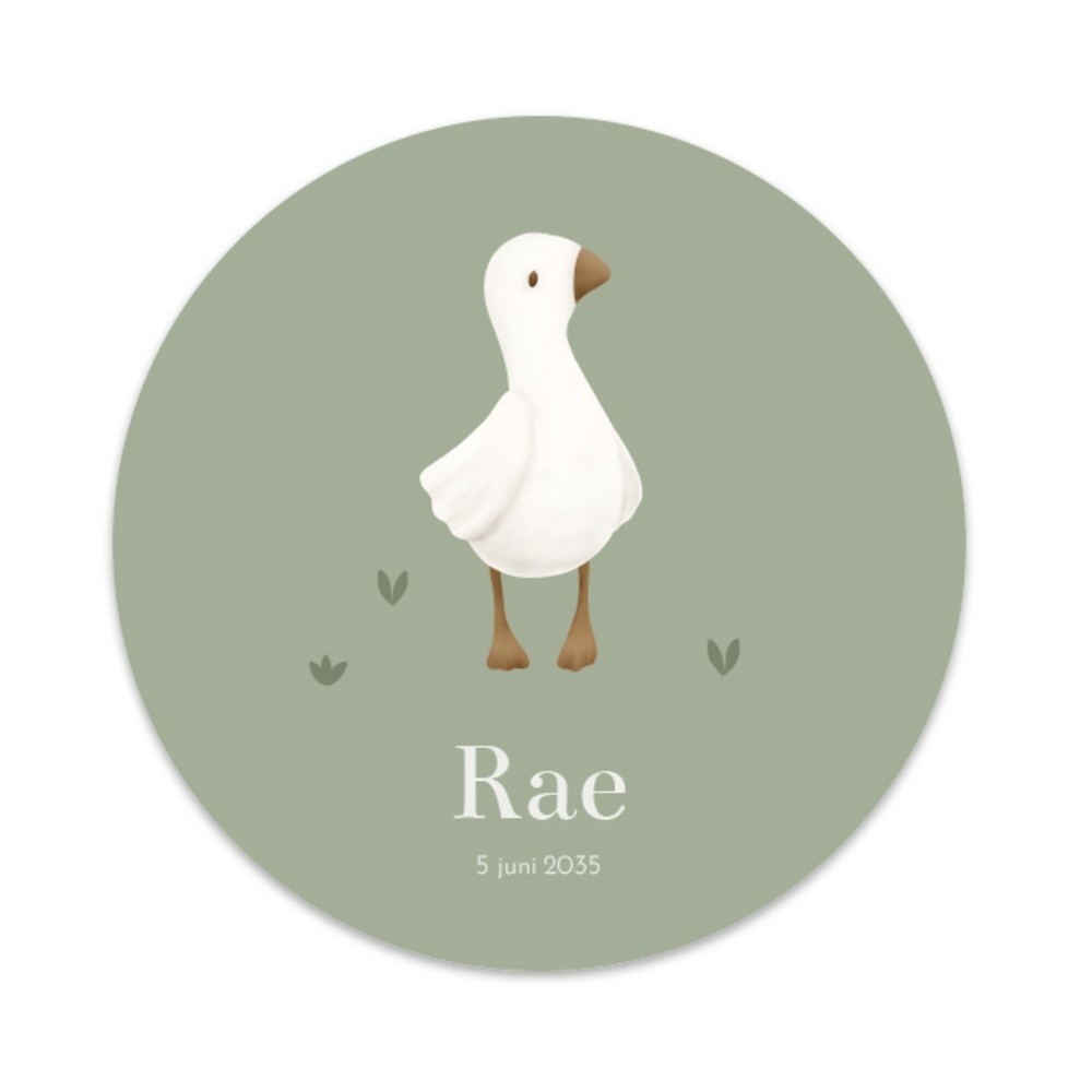 Rond geboortekaartje neutraal Little Dutch gans Rae