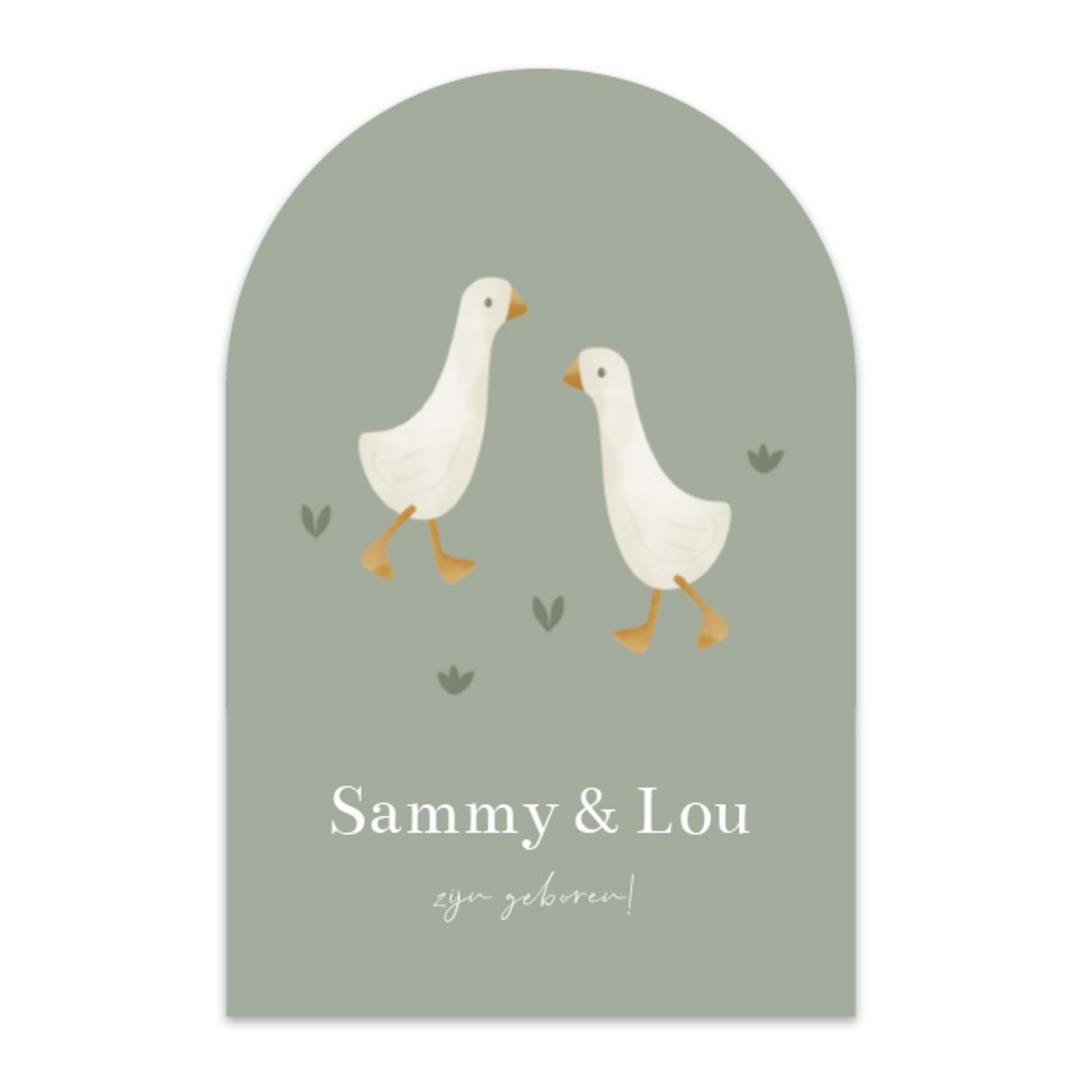 Geboortekaartje tweeling Little Dutch ganzen Sammy en Lou