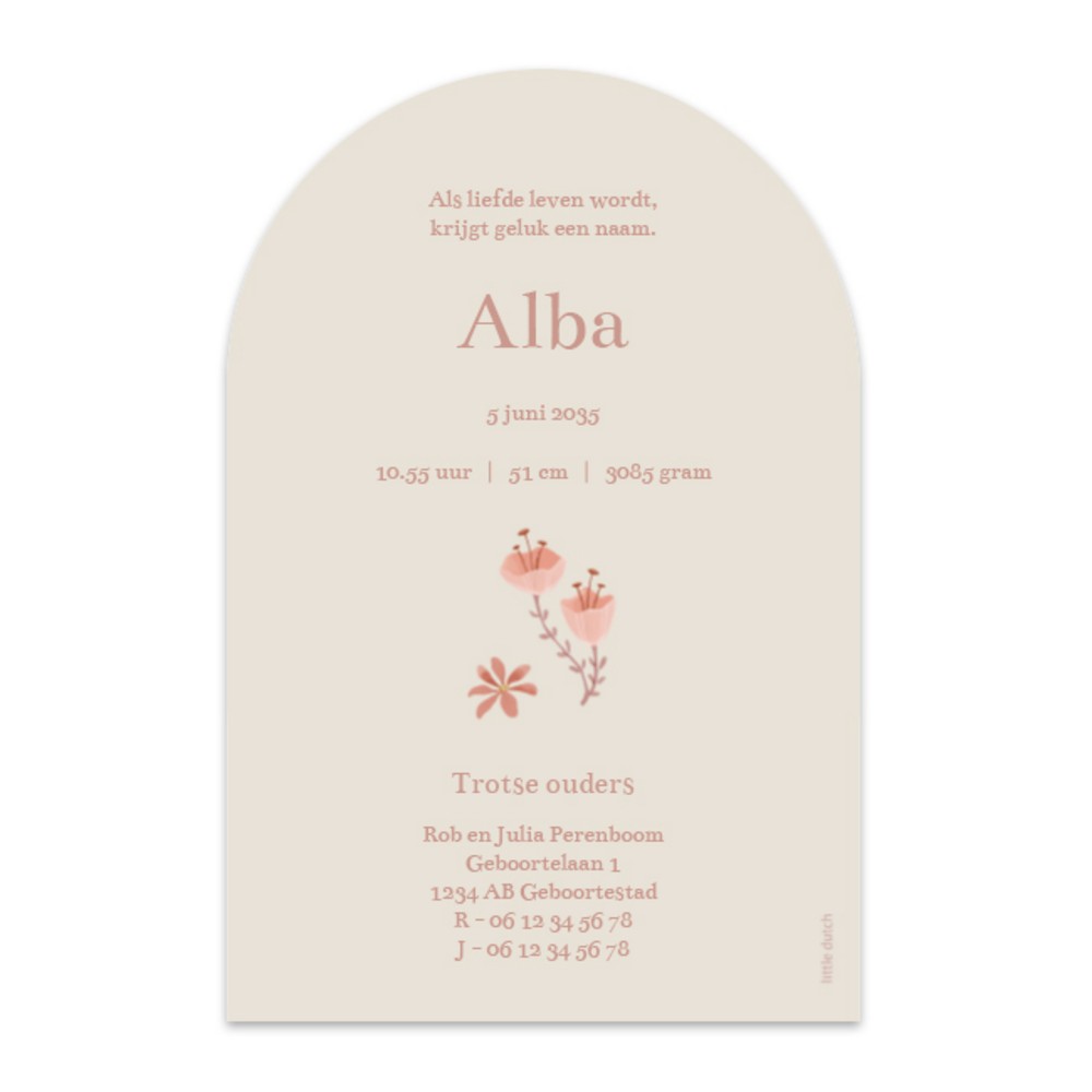 Achterkant van geboortekaartje Alba
