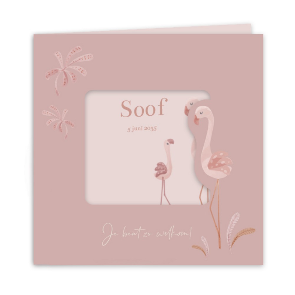 Geboortekaartje meisje Little Dutch doorkijkje flamingo Soof