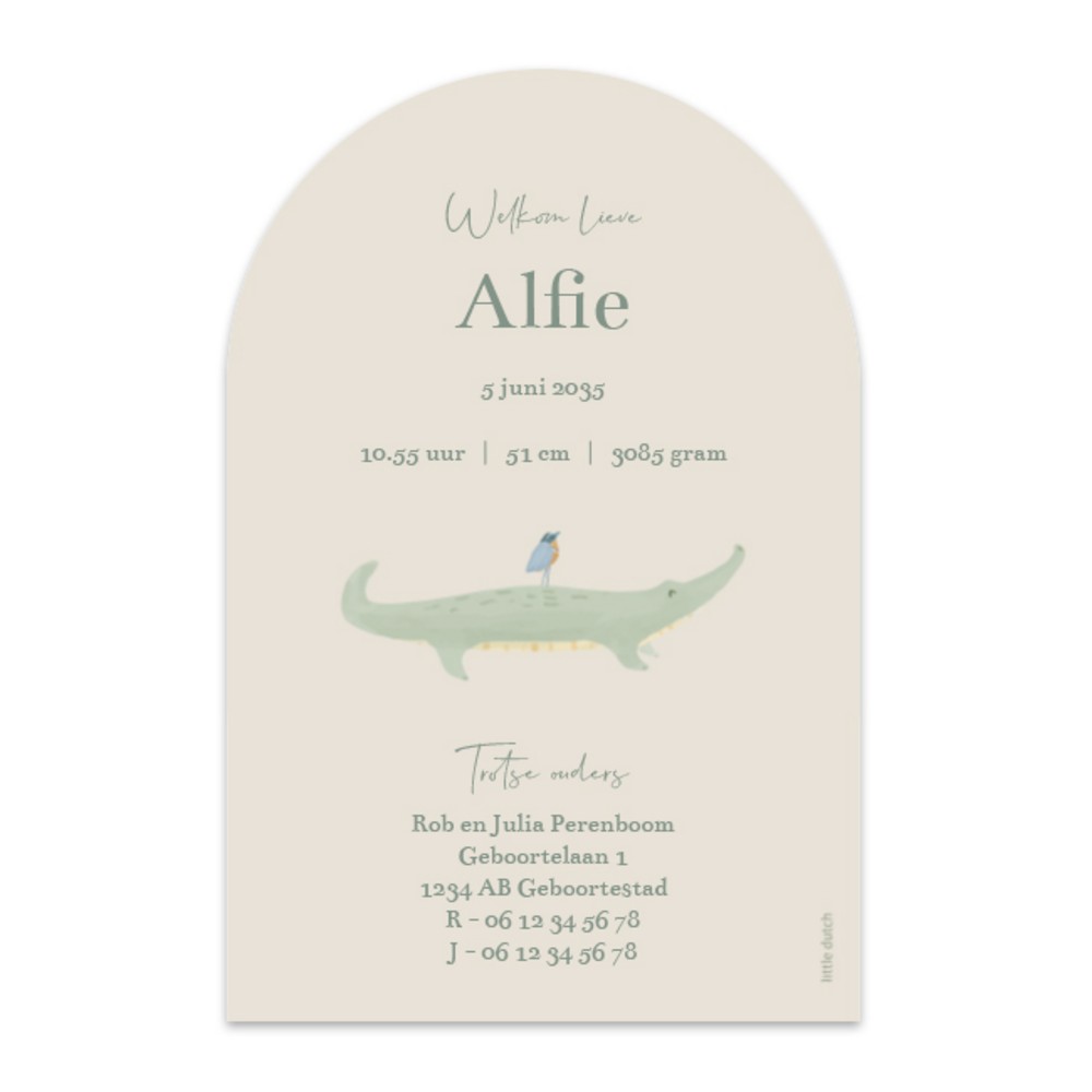Achterkant van geboortekaartje Alfie