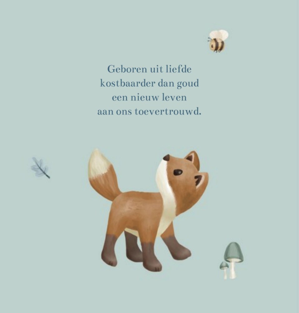 Geboortekaartje jongen Little Dutch vos in bosthema Flynn