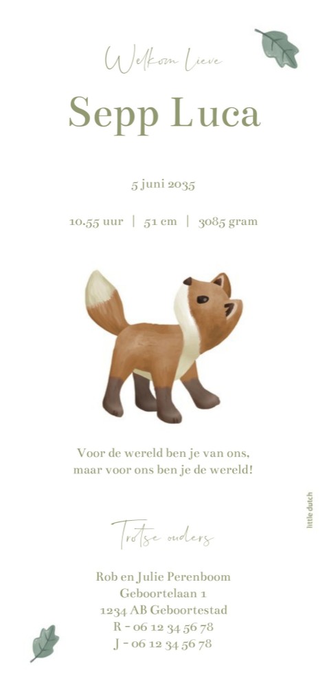 Voorkant van geboortekaartje Sepp