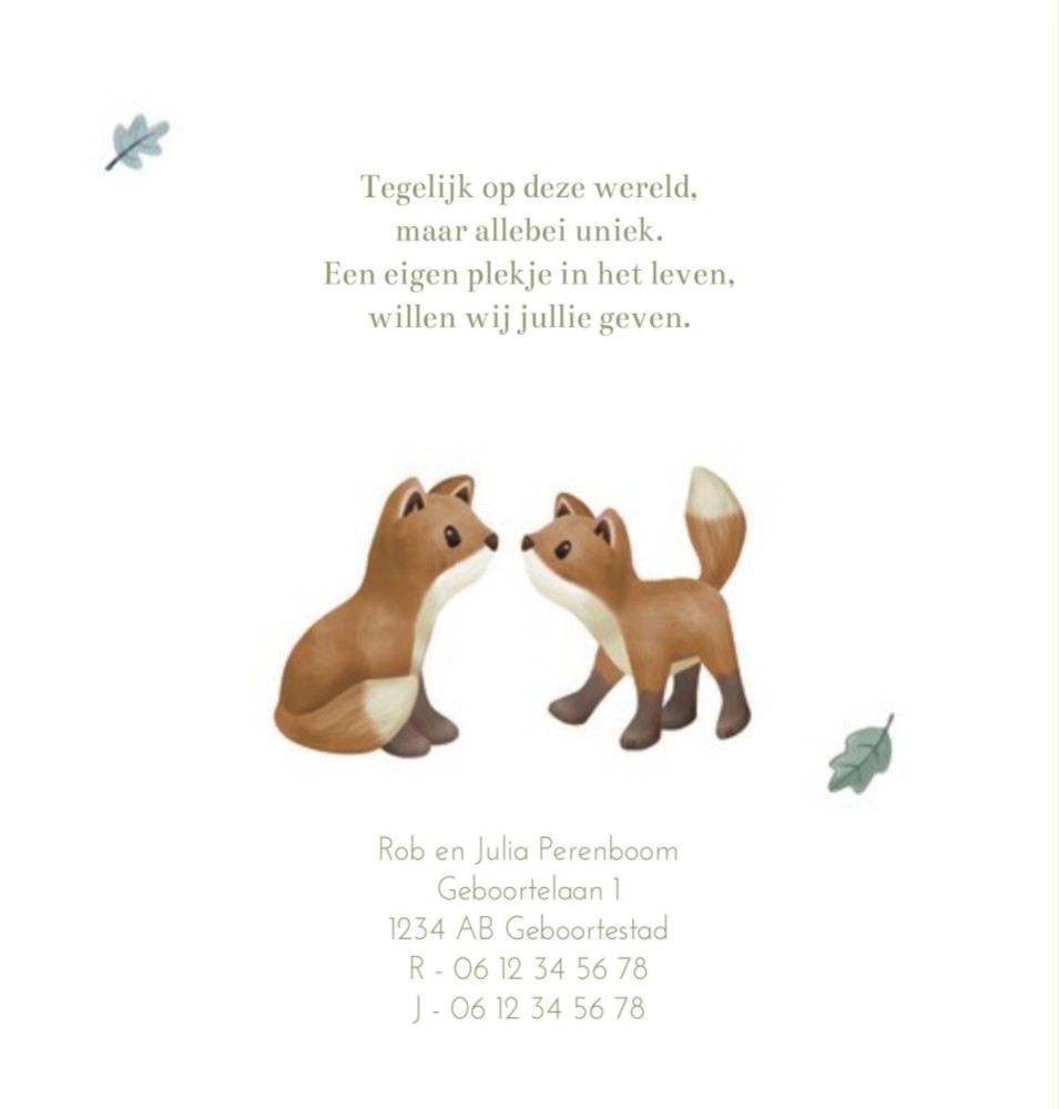 Voorkant van geboortekaartje Ted en Tobi