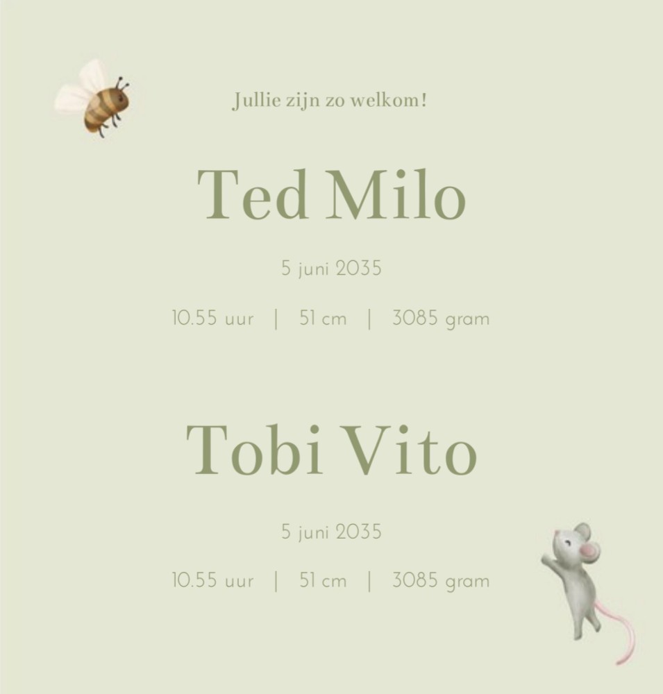Rechter binnenzijde van geboortekaartje Ted en Tobi