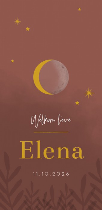 Geboortekaartje meisje terra maan en sterren in goud Elena voor
