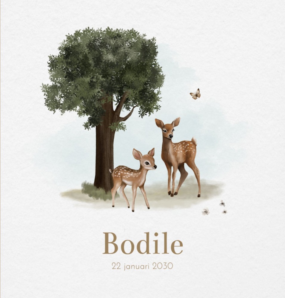 Geboortekaartje meisje bosdieren hert Bodile