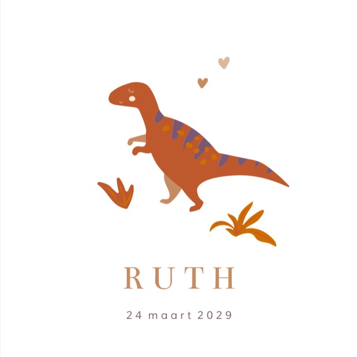 Geboortekaartje meisje dino Ruth