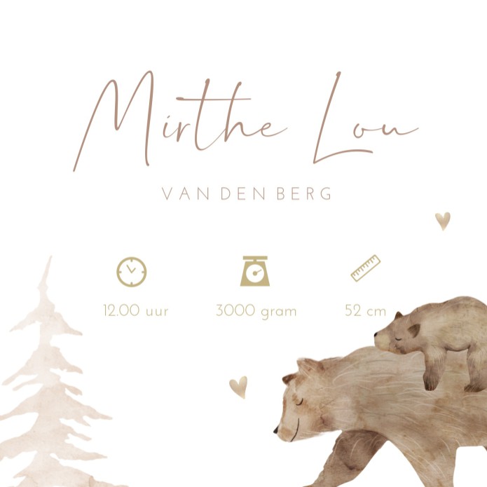Geboortekaartje meisje bos beer Mirthe binnen