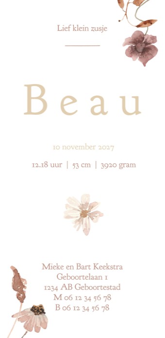 Geboortekaartje meisje droogbloemen wit Beau