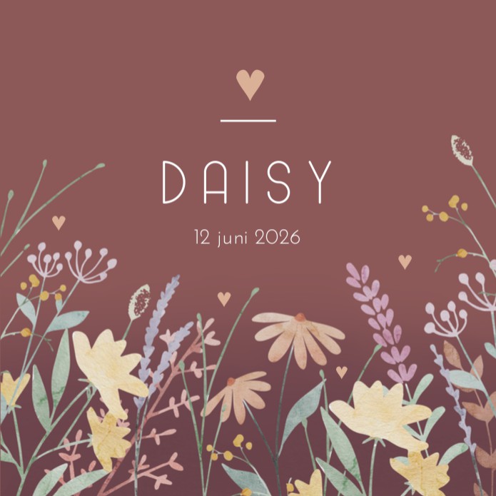 Geboortekaartje meisje wilde bloemen Daisy
