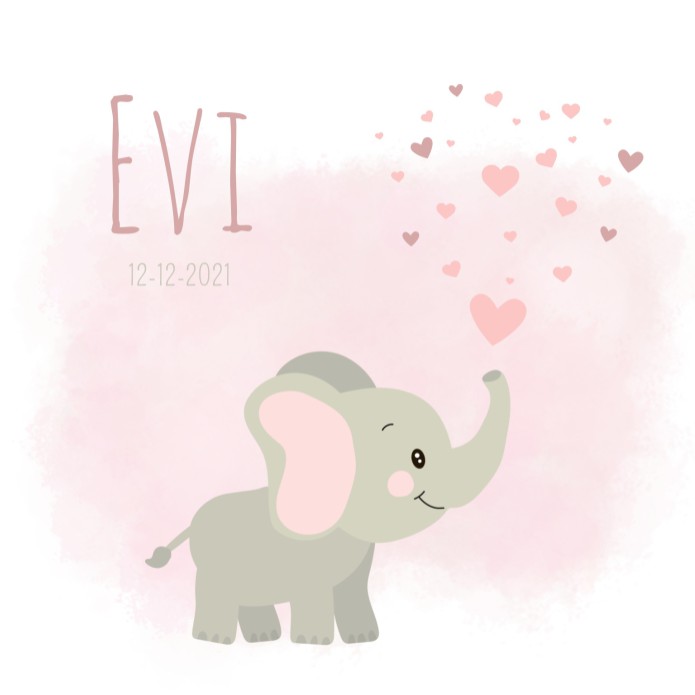 Geboortekaartje meisje roze met olifant Evi