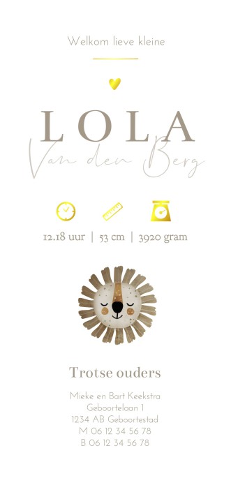 Geboortekaartje meisje leeuw zand Lola