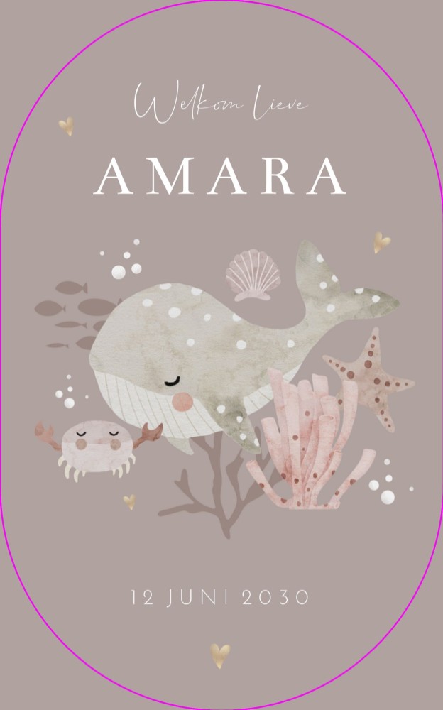 Ovaal geboortekaartje meisje zeedieren Amara