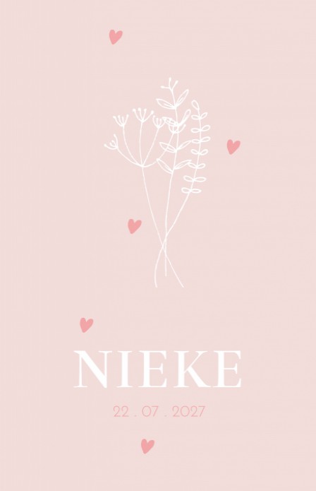 Geboortekaartje meisje roze takje Nieke