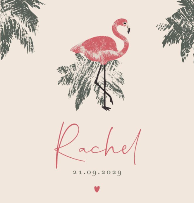 Geboortekaartje meisje flamingo Rachel