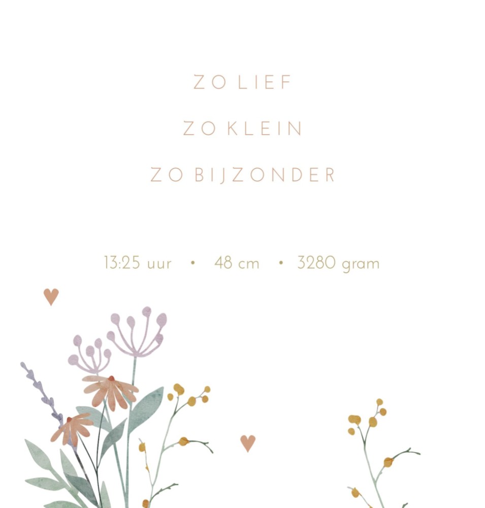 kaart binnenzijde links