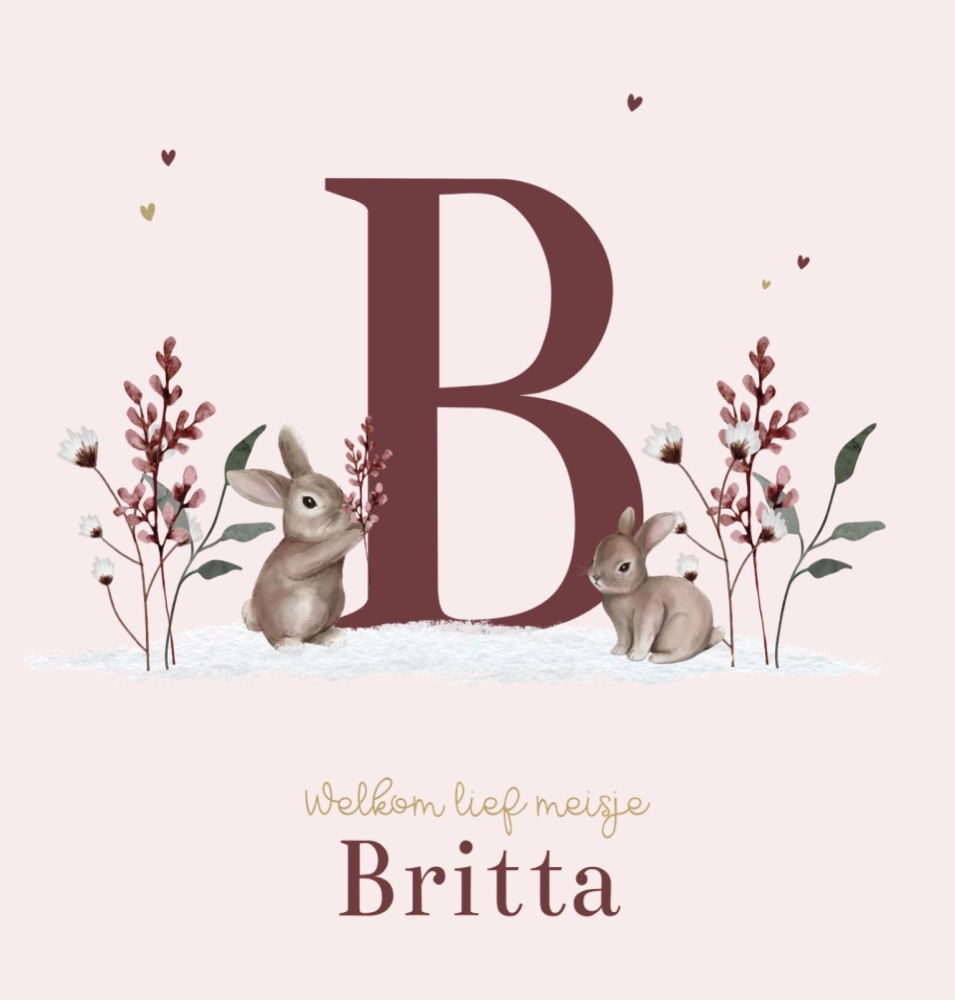 Voorkant van geboortekaartje Britta