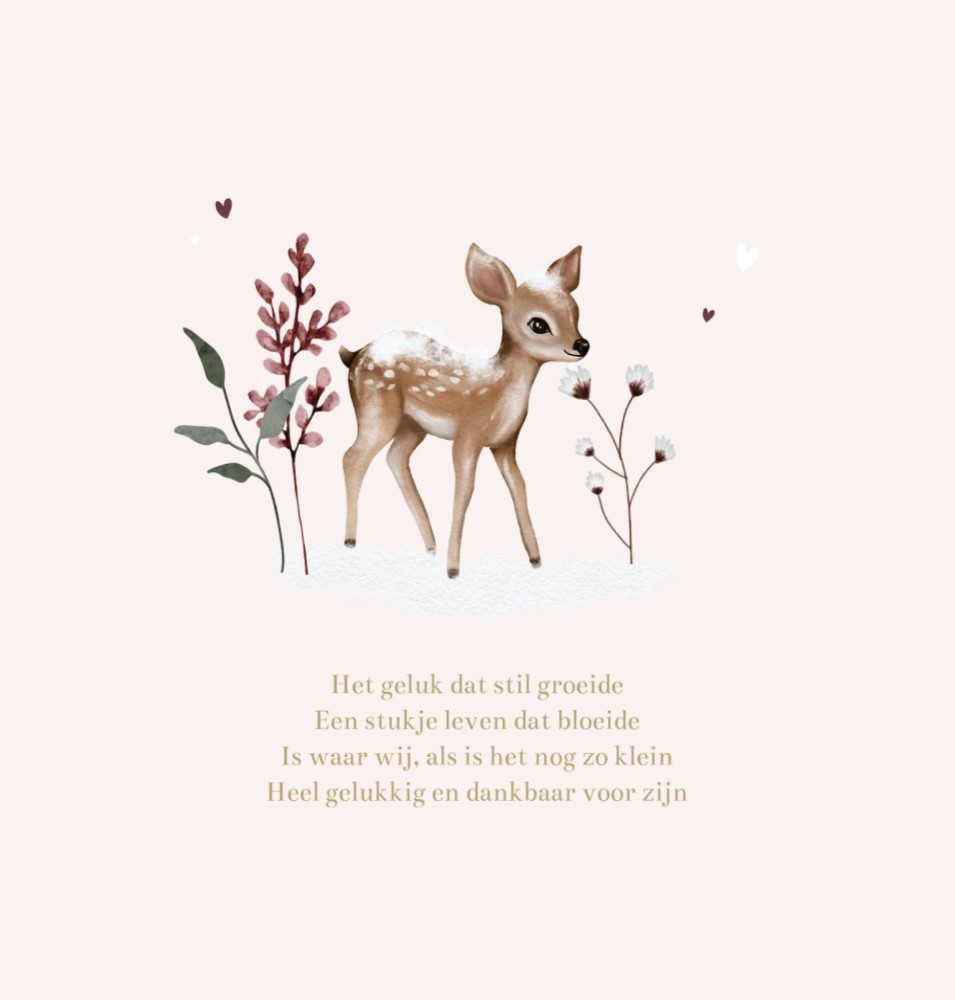 kaart binnenzijde links