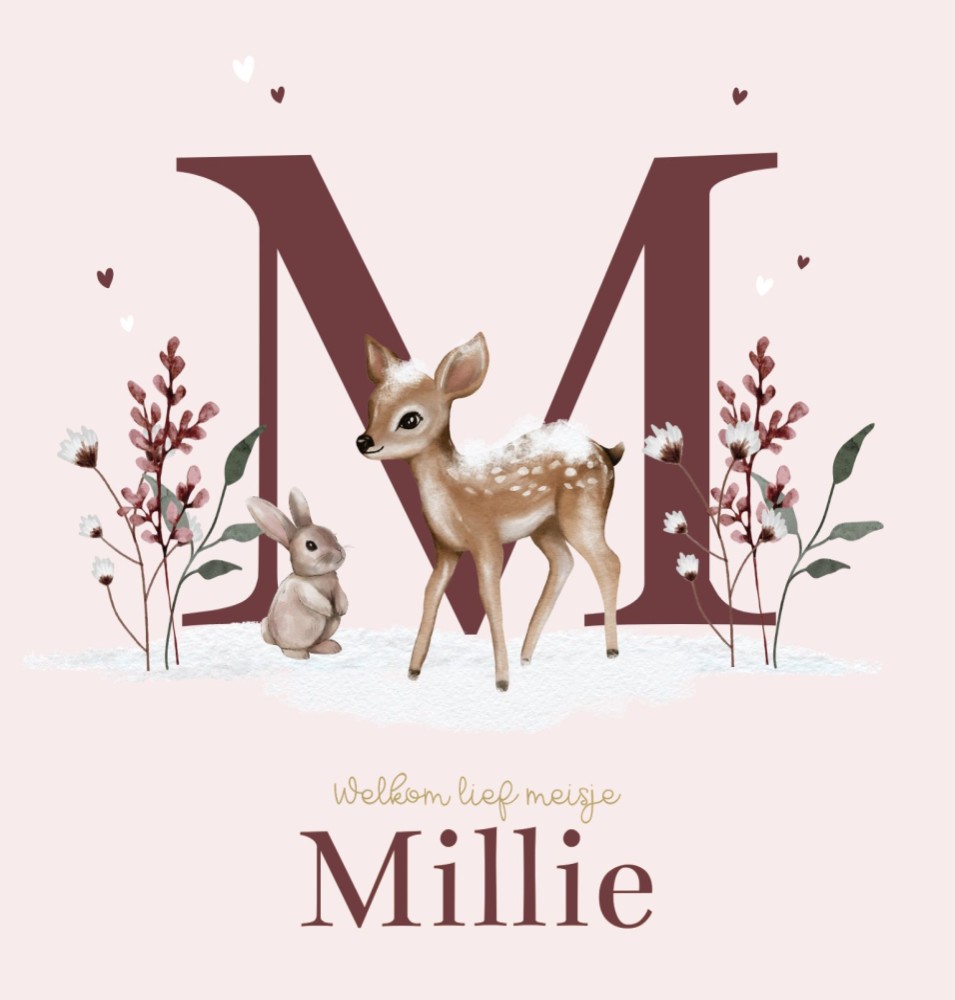 Geboortekaartje meisje hert initiaal Millie