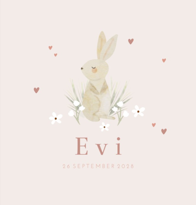 Geboortekaartje meisje konijntje lichtroze Evi