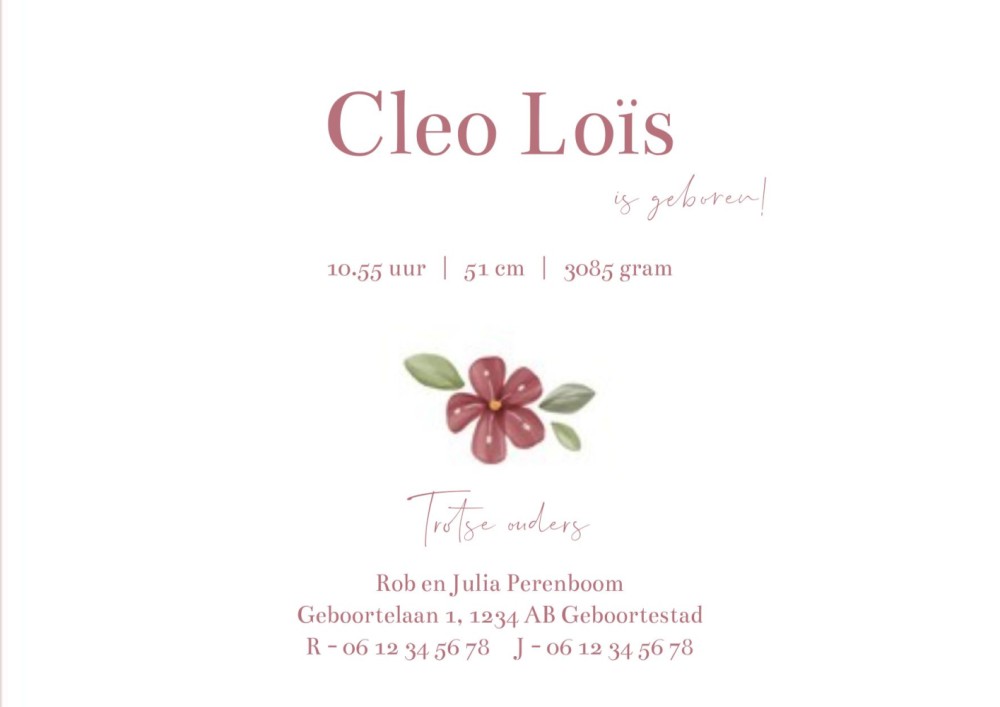 Rechter binnenzijde geboortekaartje Cleo