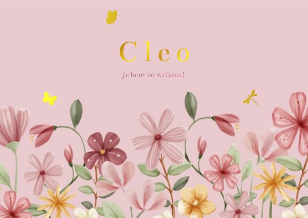 Voorkant geboortekaartje Cleo