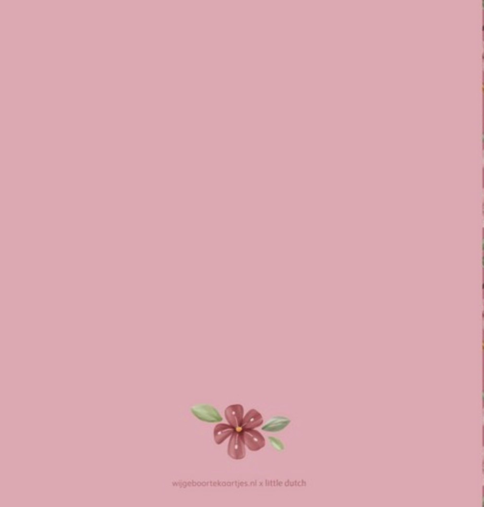 Geboortekaartje meisje Little Dutch bloemen Pixie