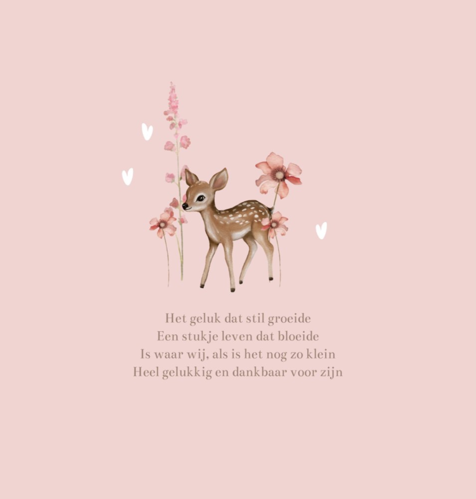 kaart binnenzijde links