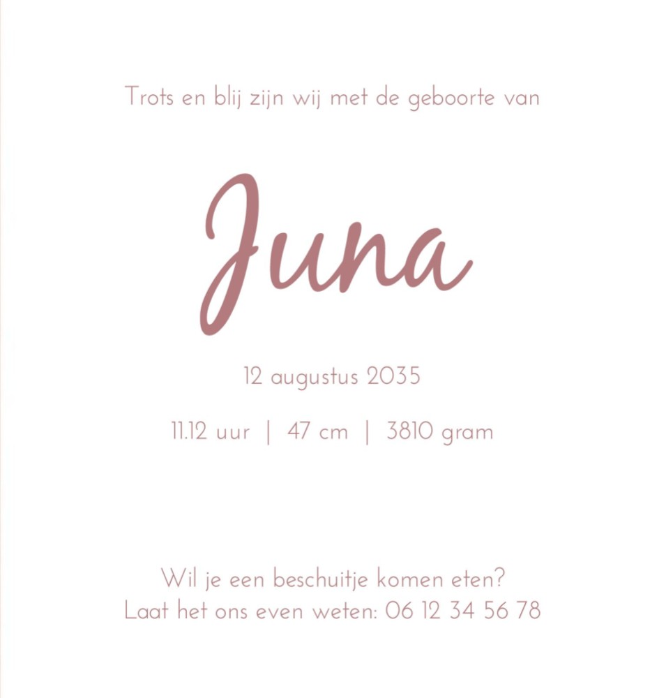 Rechter binnenzijde van geboortekaartje nijntje Juna