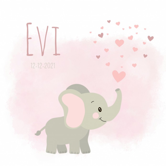 Geboortekaartje meisje roze met olifant Evi voor