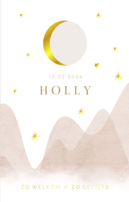 Geboortekaartje meisje roze bergen gouden maan Holly