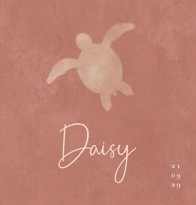 Geboortekaartje meisje schildpad Daisy